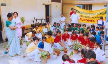 Ecoles Maharishi en Inde